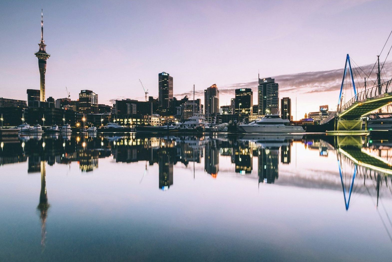 Auckland city skyline at dusk near Brightwildlife restaurant